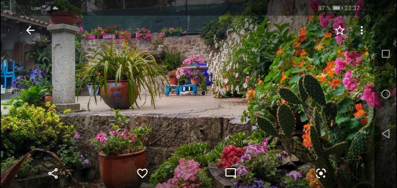 Apartamento Tui, Casa Da Barca Exterior foto